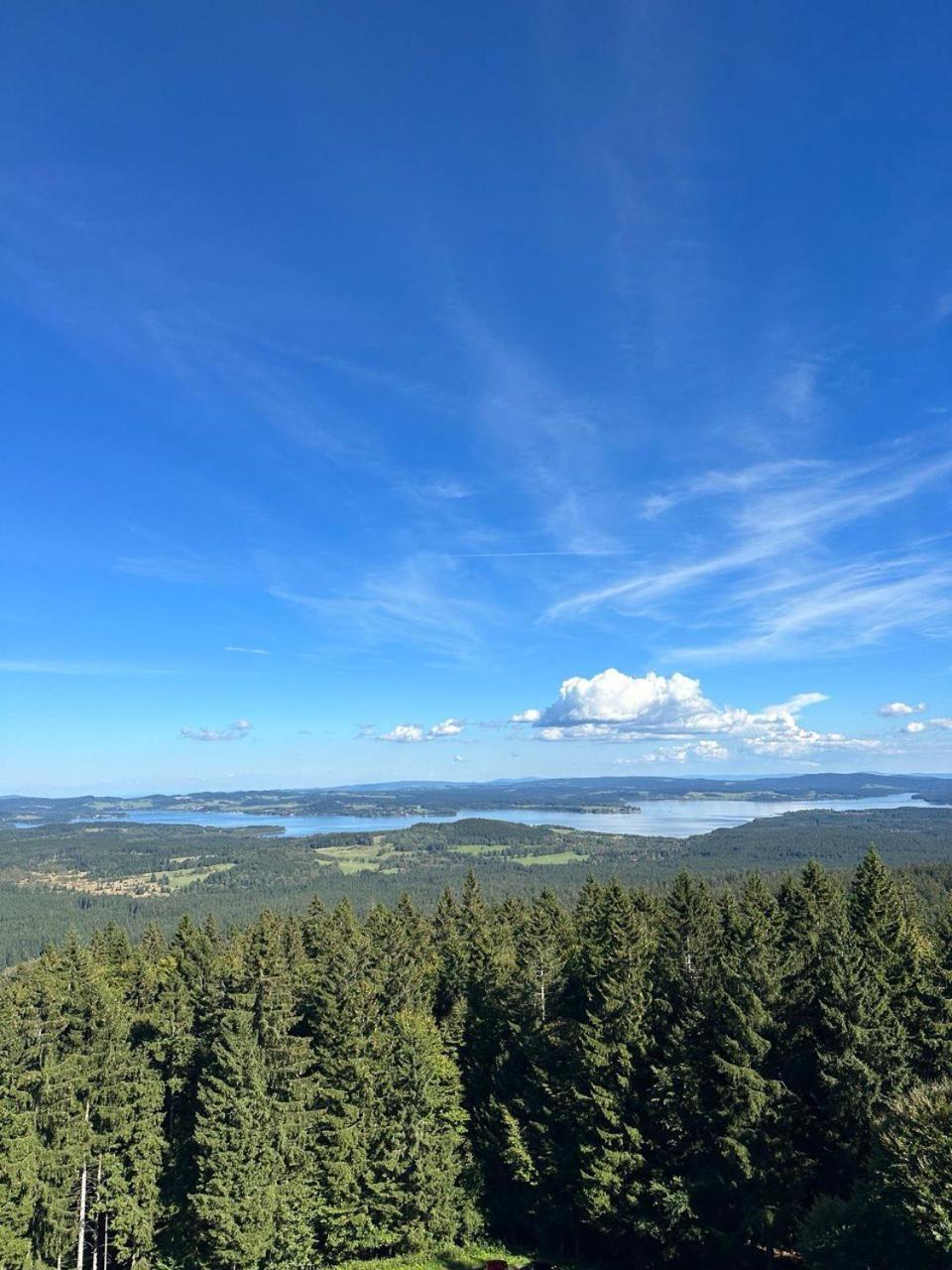 Lipno Lake House Přední Výtoň Екстериор снимка